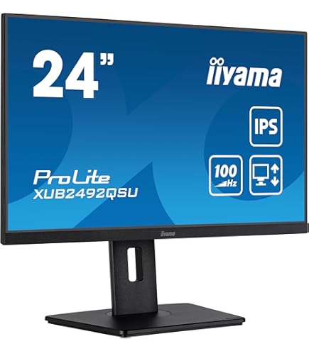 iiyama G-Master GB2560HSU-B1 24.5 Inch TN LCD, 144Hz, 1ms